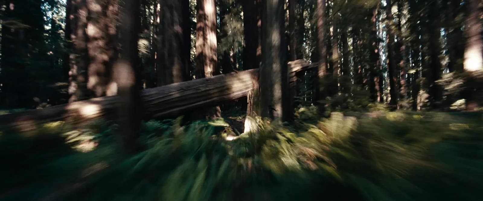 Endor speeder chase