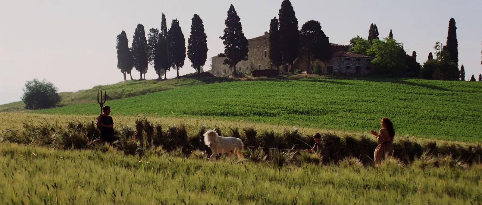 Maximus's farm