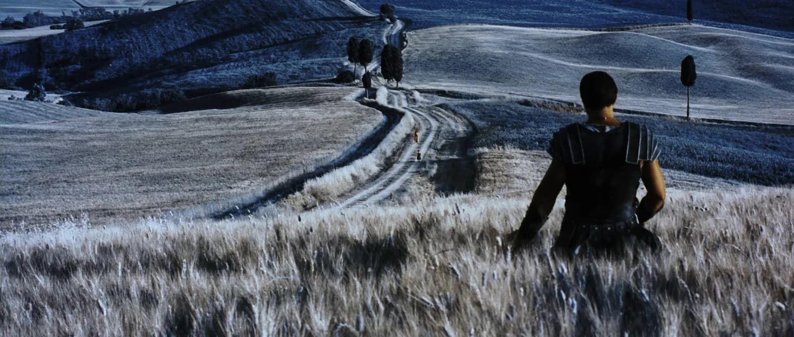 Walking through the wheat