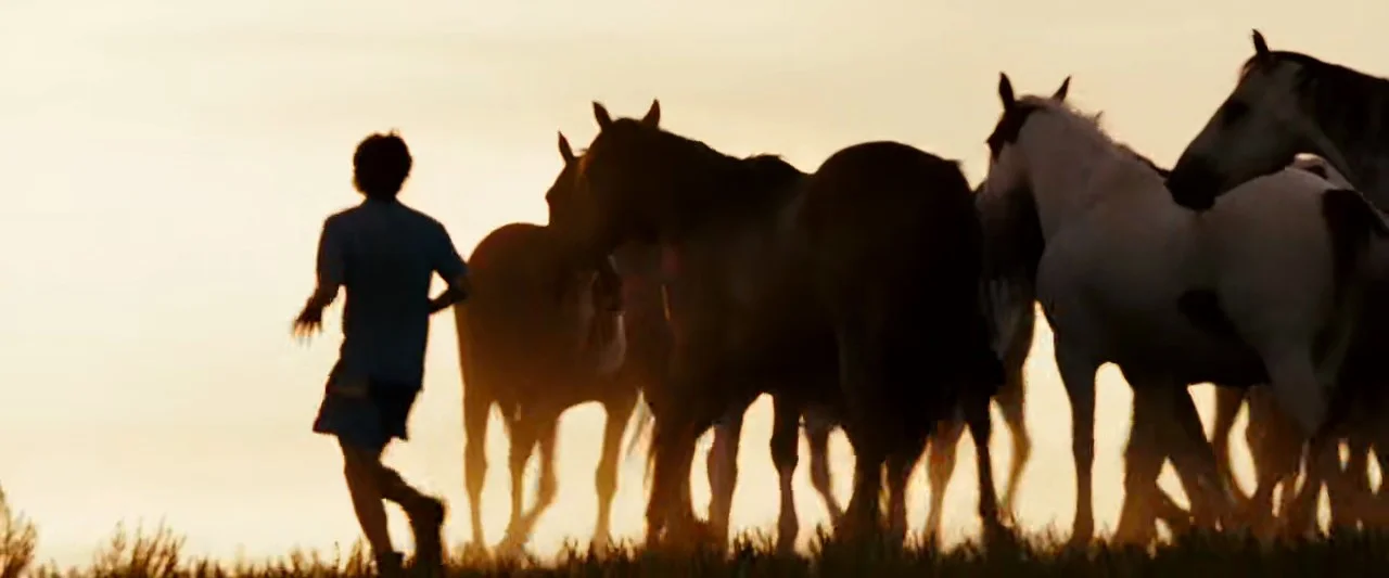 Running with wild horses